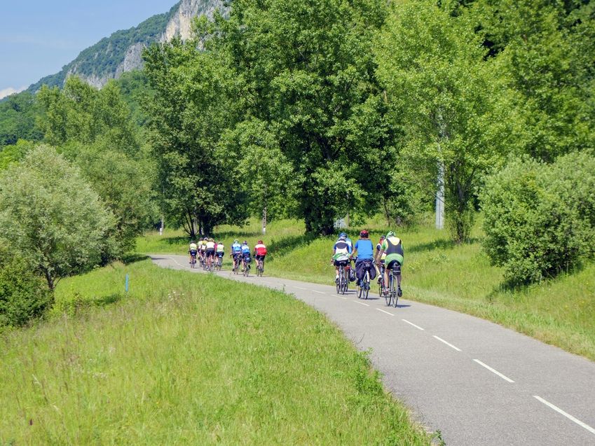 Gruppe von Radfahrern auf einer Landstraße, umgeben von üppigem Grün.